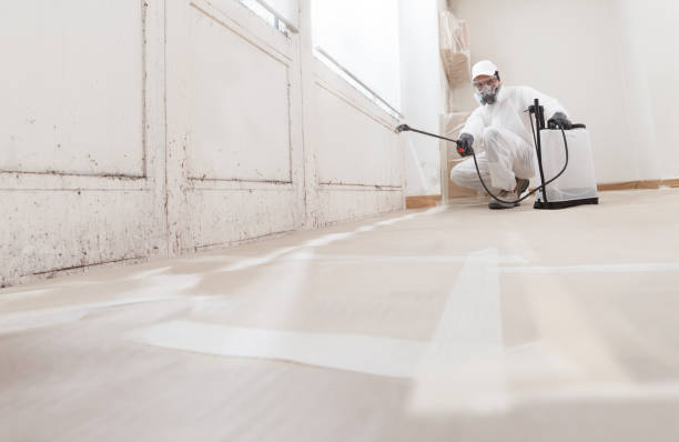 Trusted Crawl Space Mold Removal service in Rocky Ridge, MD - WQB Mold Removal
