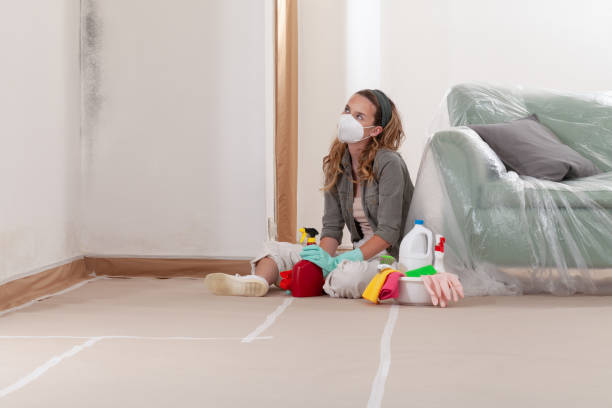 Reliable Crawl Space Mold Removal contractor in Rocky Ridge, MD by WQB Mold Removal