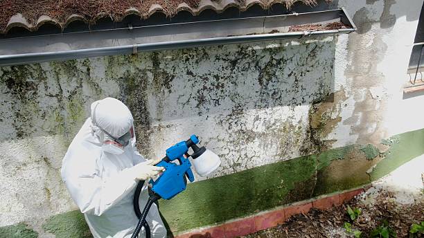 Top rated local Crawl Space Mold Removal specialists in Rocky Ridge, MD
